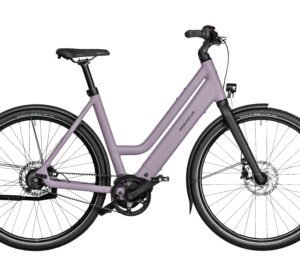 Riese & Müller Culture Mixte