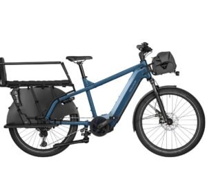 SALE: Riese & Müller Multicharger2