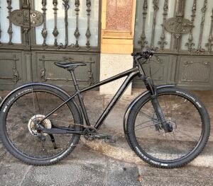 Stevens Devil´s Trail 29"-18" (ehem. Testrad)